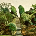 gardens, steps,